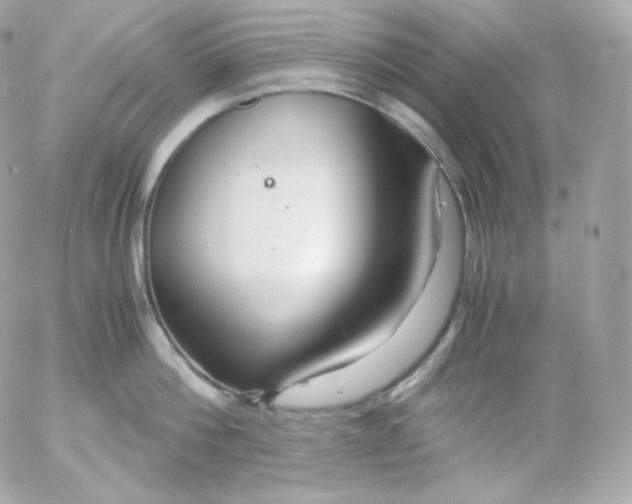 X0000052650812200507221840