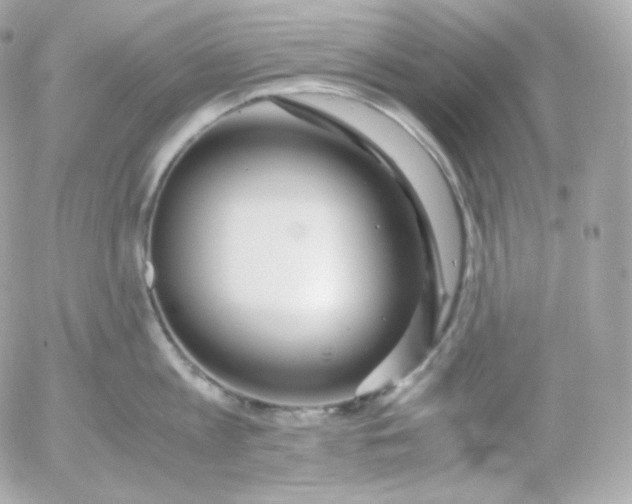 X0000052650813200507221840