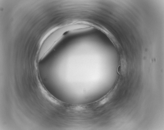 X0000052650814200507221840