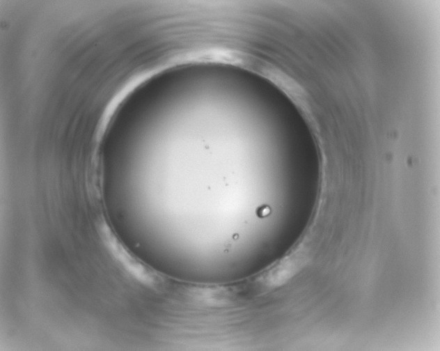 X0000052650816200507221840