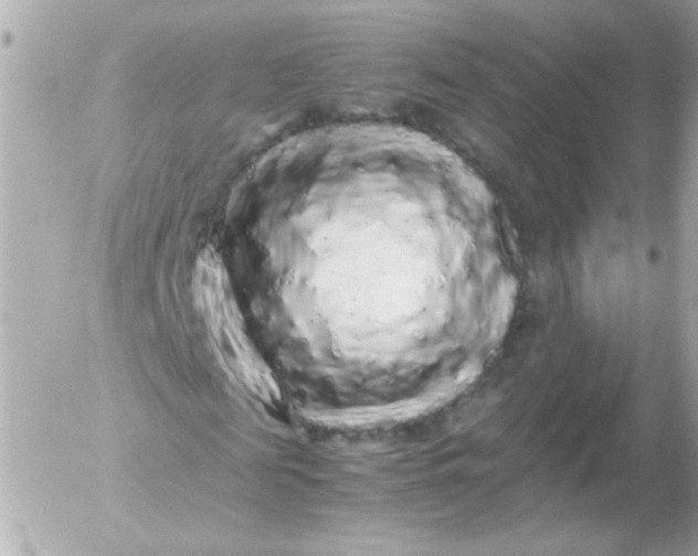 X0000052650817200507221839