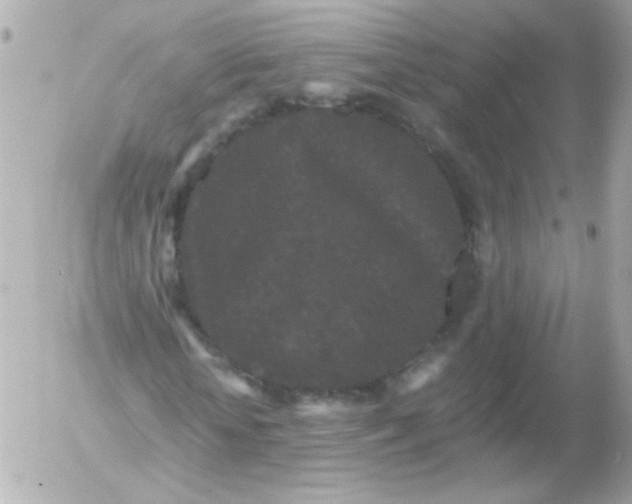 X0000052650818200507221839