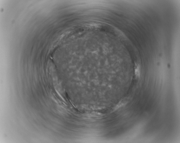 X0000052650819200507221839