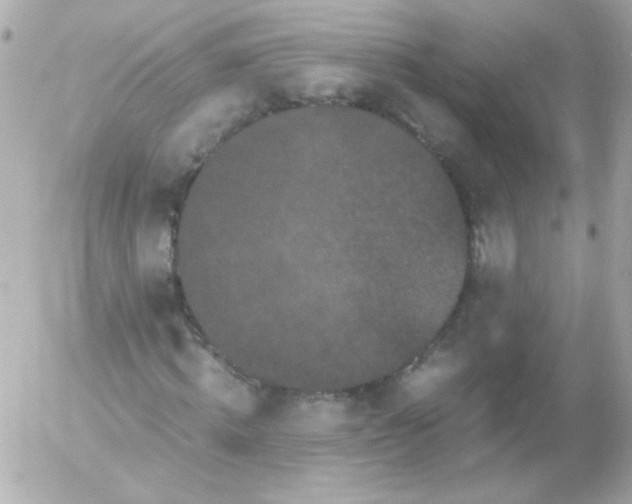 X0000052650820200507221839