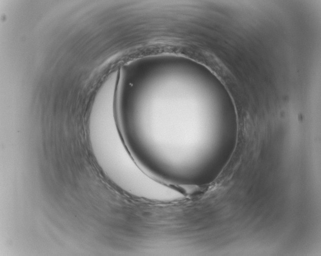 X0000052650821200507221839