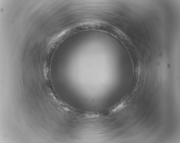 X0000052650822200507221839