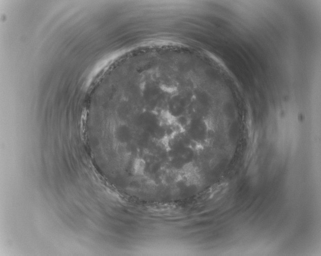 X0000052650823200507221839