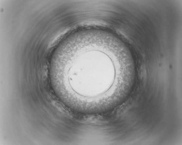 X0000052650824200507221839