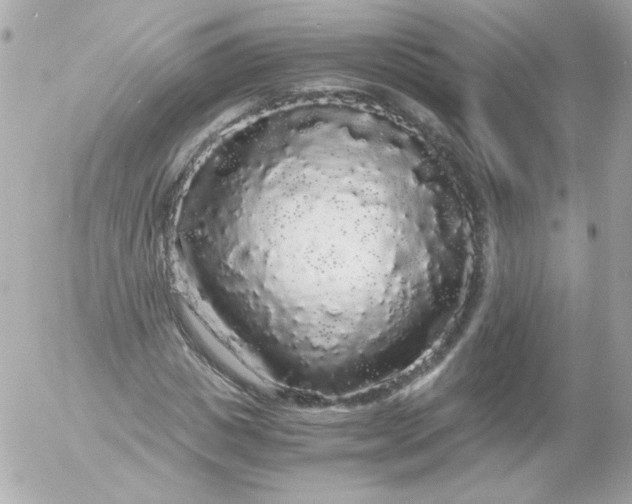 X0000052650825200507221839