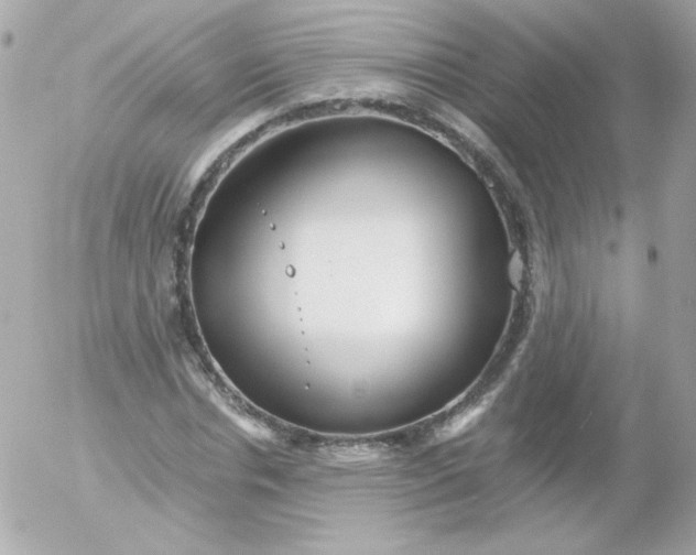 X0000052650826200507221839