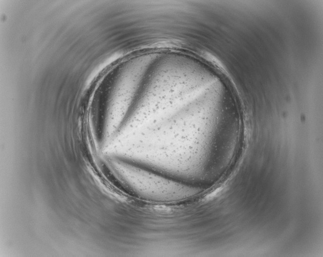 X0000052650827200507221839