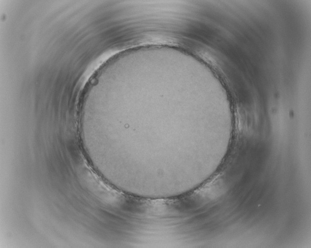 X0000052650828200507221839