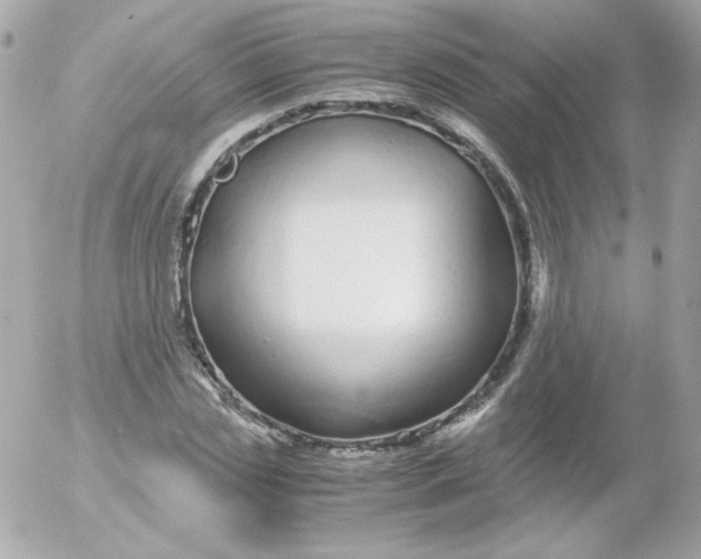 X0000052650829200507221839