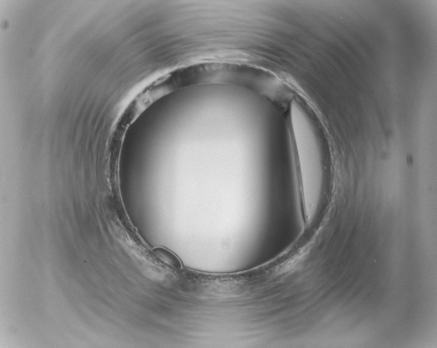 X0000052650830200507221839