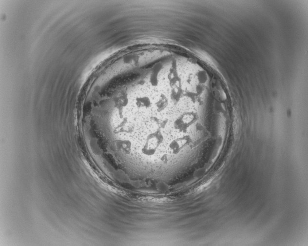 X0000052650831200507221839