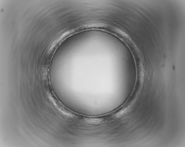 X0000052650833200507221839