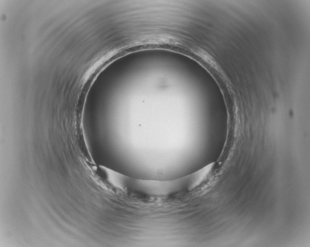 X0000052650834200507221839