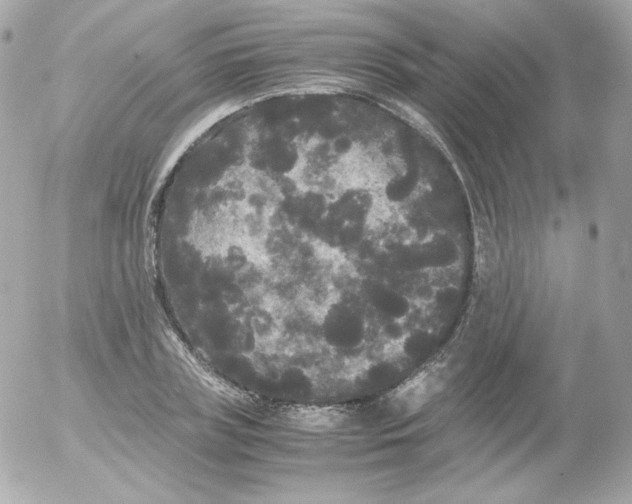 X0000052650835200507221839