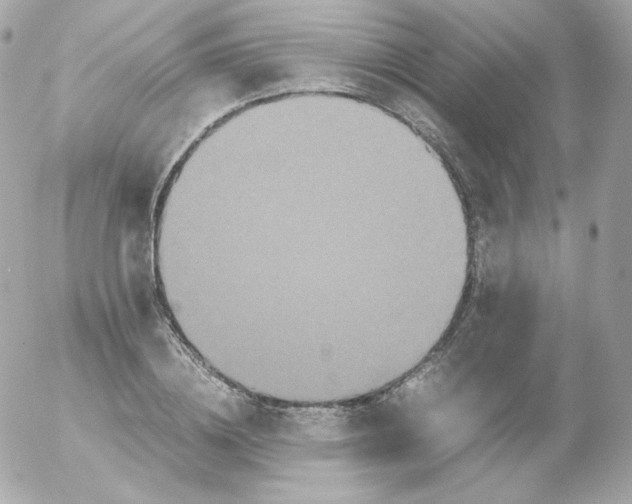 X0000052650836200507221839