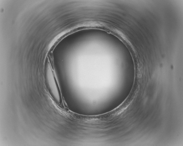 X0000052650837200507221839