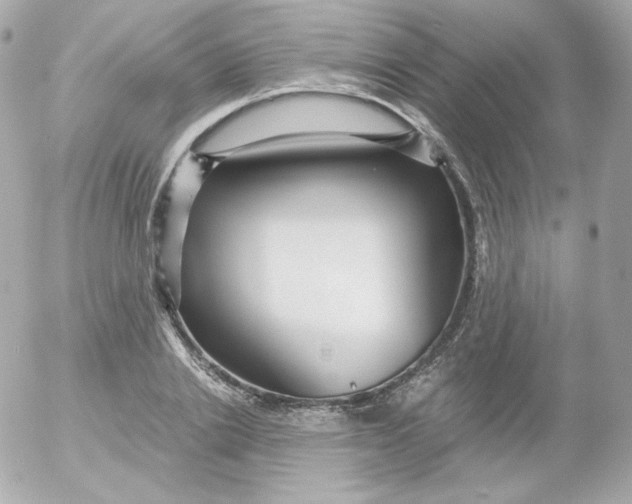 X0000052650838200507221839