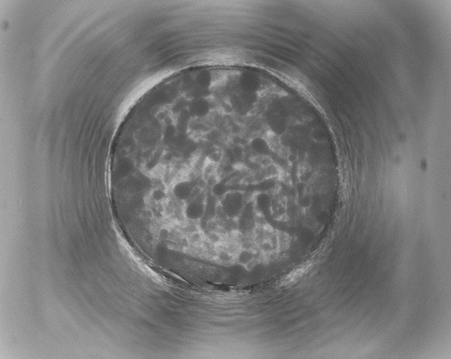 X0000052650839200507221839