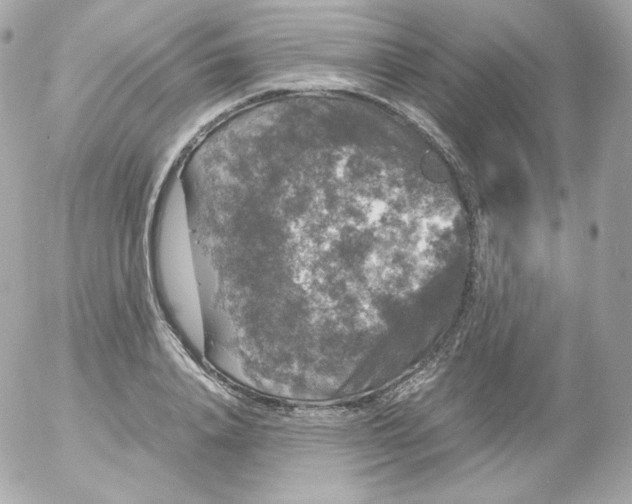 X0000052650840200507221839