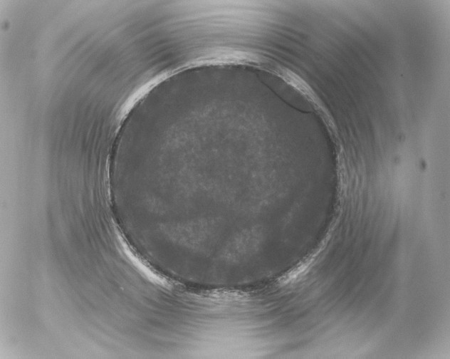 X0000052650842200507221839