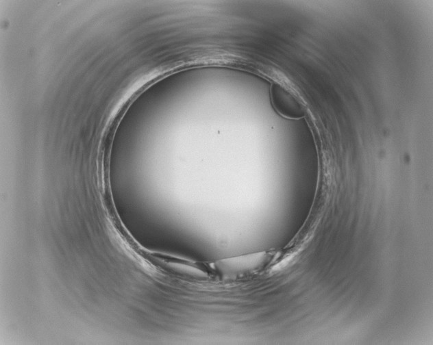 X0000052650843200507221839