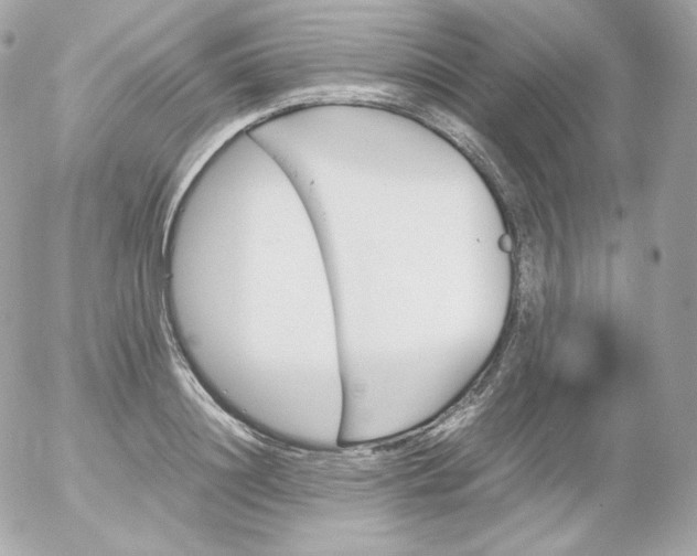 X0000052650844200507221839