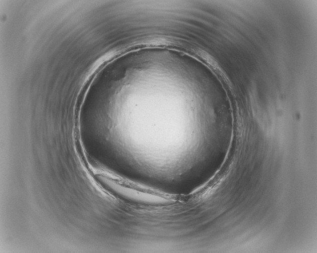 X0000052650845200507221839