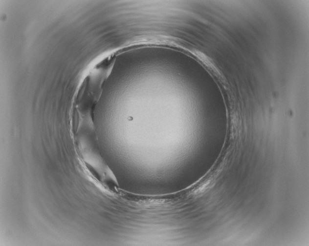 X0000052650846200507221839