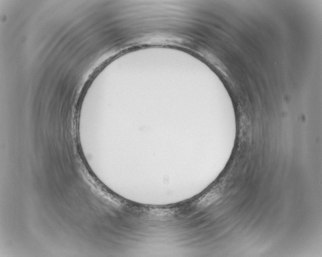 X0000052650848200507221840