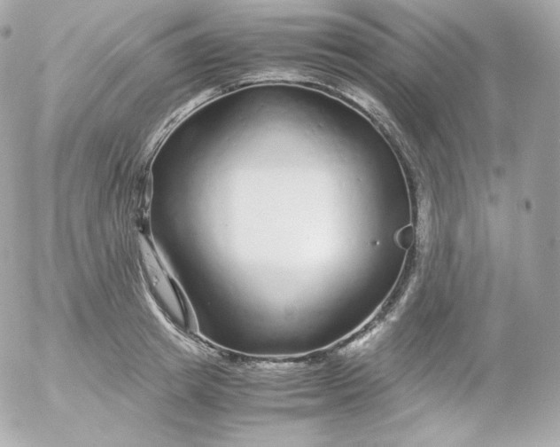 X0000052650849200507221840