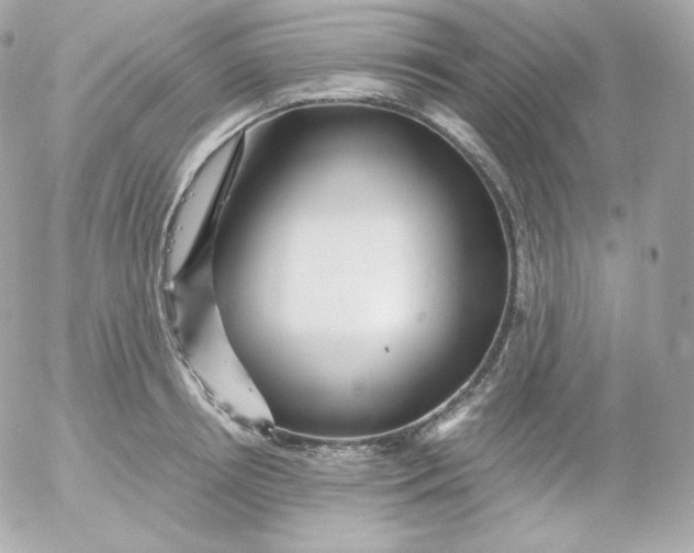 X0000052650850200507221840