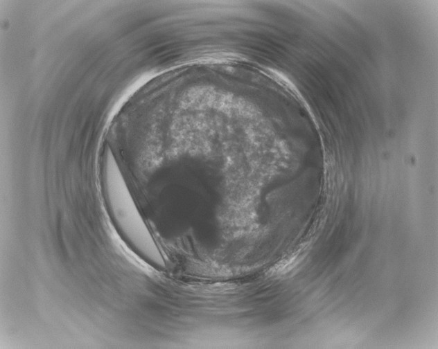 X0000052650851200507221840