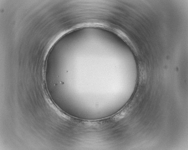 X0000052650852200507221840