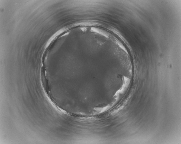 X0000052650853200507221840