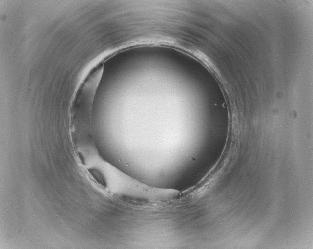 X0000052650854200507221840