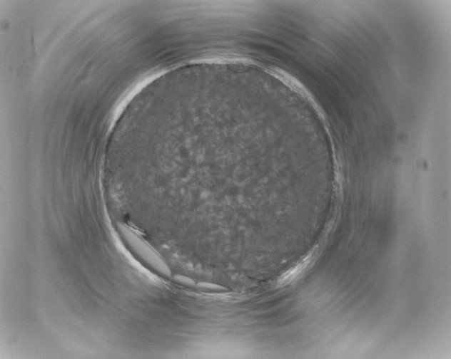 X0000052650855200507221840