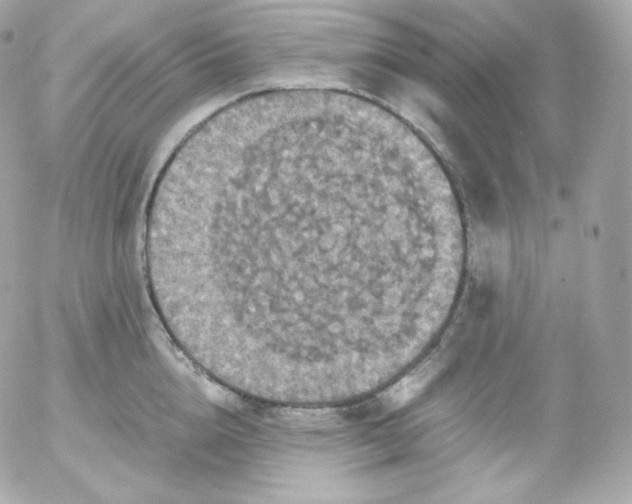 X0000052650856200507221840