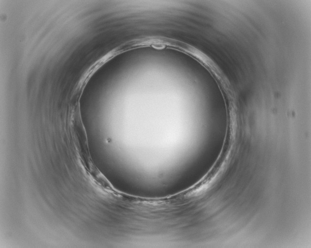 X0000052650857200507221840