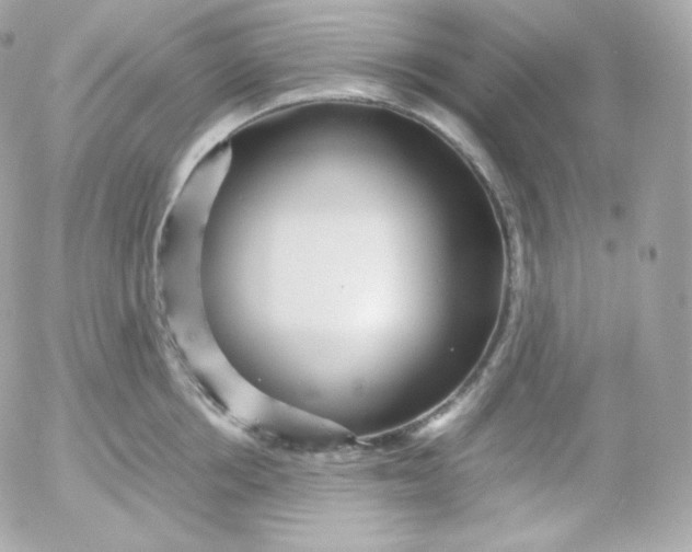 X0000052650858200507221840