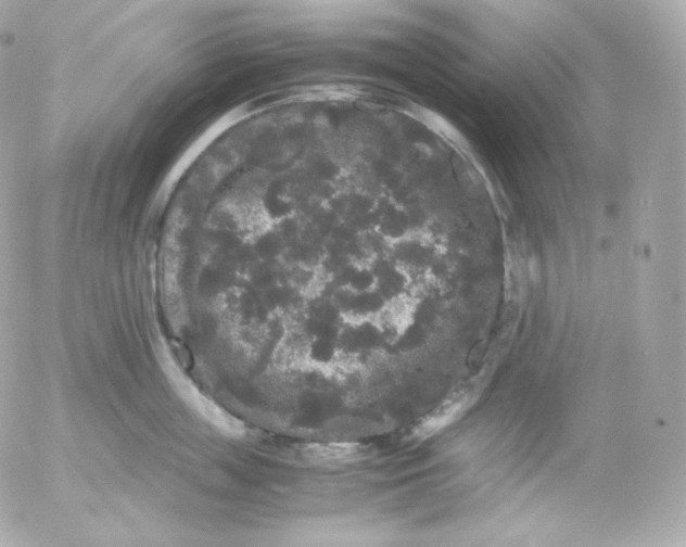 X0000052650859200507221840