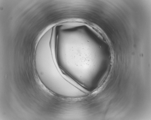 X0000052650860200507221840