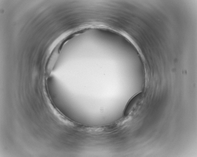 X0000052650861200507221840