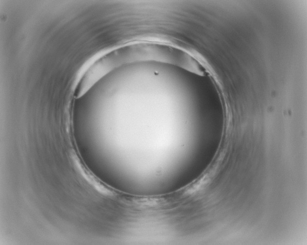 X0000052650862200507221840