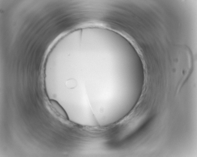 X0000052650864200507221840