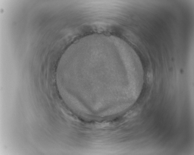 X0000052650865200507221839