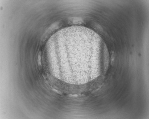 X0000052650866200507221839